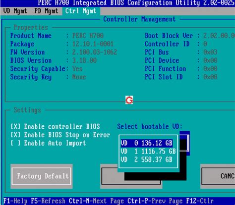 DELL Server: How To Create RAID Using PERC H700 Integrated .